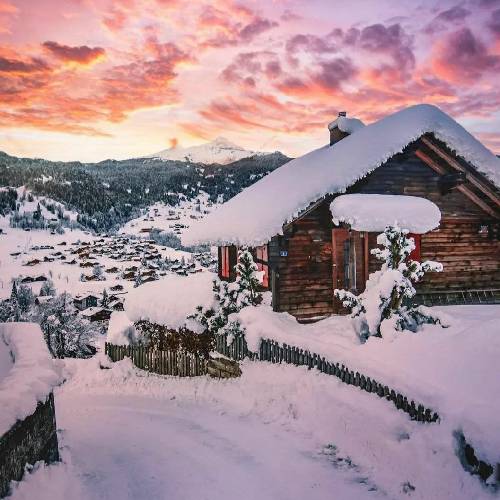  وقتی چشمام خاکستری دید فهمیدم مرام از وابستگی نی